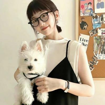 猫狗大战3:爪爪集结!